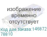 78810