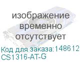 CS1316-AT-G