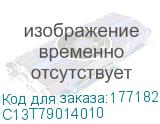 C13T79014010