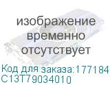 C13T79034010