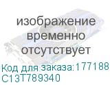 C13T789340