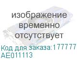 AE011113