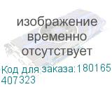 407323
