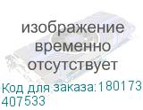 407533