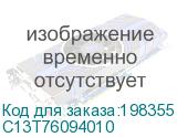 C13T76094010