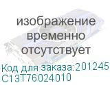 C13T76024010