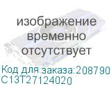 C13T27124020