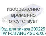 TWT-CBWNG-12U-6X6-BK