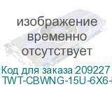 TWT-CBWNG-15U-6X6-BK