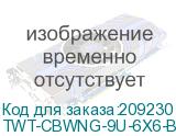 TWT-CBWNG-9U-6X6-BK