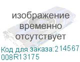 008R13175