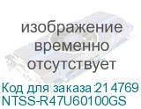 NTSS-R47U60100GS
