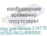 NTSS-R42U6080GS