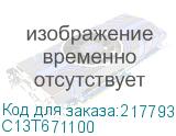 C13T671100