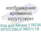 SP032GBUF3M01V1B