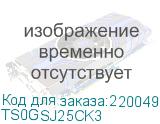 TS0GSJ25CK3
