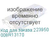 008R13170