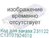 C13T07924010