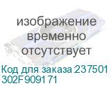 302F909171