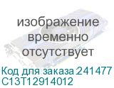 C13T12914012