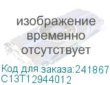 C13T12944012