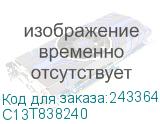 C13T838240