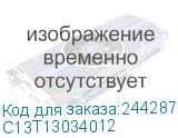 C13T13034012