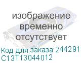 C13T13044012