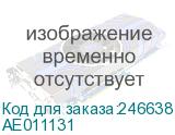 AE011131