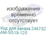 AM-5G19-120