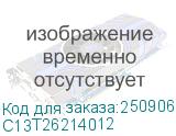C13T26214012