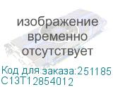 C13T12854012