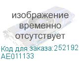 AE011133