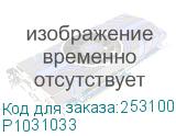 P1031033