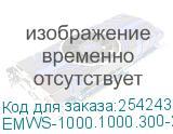 Электротехнический шкаф системный IP66 навесной (В1000 × Ш1000 × Г300) EMWS с двумя дверьми (EMWS-1000.1000.300-2-IP66) EMWS-1000.1000.300-2-IP66