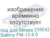 Battery PM-12-9.0
