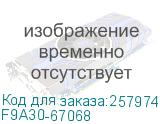 F9A30-67068