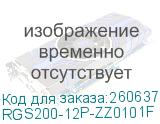 RGS200-12P-ZZ0101F