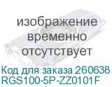 RGS100-5P-ZZ0101F
