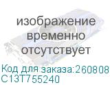 C13T755240