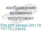 TS1TSJ25M3S