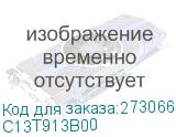 C13T913B00