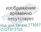 C13T913700