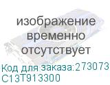 C13T913300
