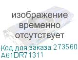 A61DR71311