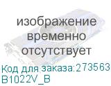 B1022V_B