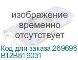 B12B819031