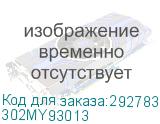 302MY93013