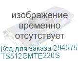 TS512GMTE220S