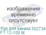 FT 12-100 M